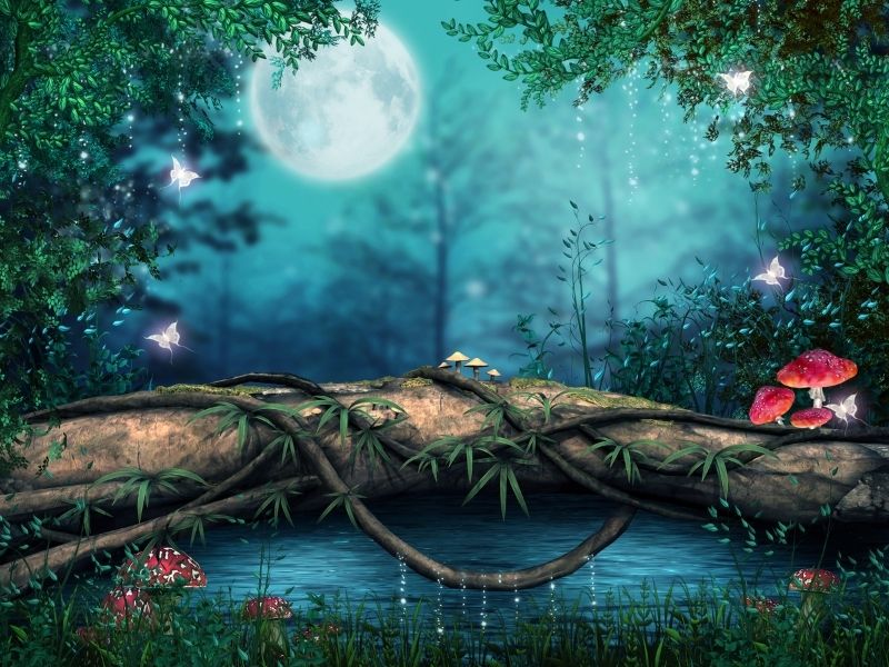 Bosque Encantado (AM)